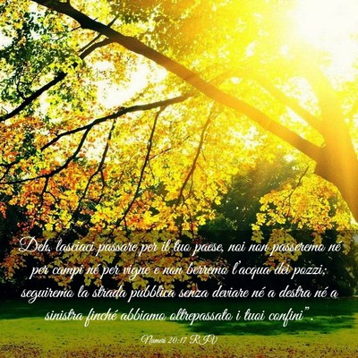 Picture 03 - Numeri 20:17 RIV - Deh, lasciaci passare per il tuo paese, noi non - Bible Verse Picture