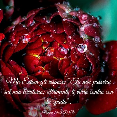 Picture 03 - Numeri 20:18 RIV - Ma Edom gli rispose: “Tu non passerai sul mio - Bible Verse Picture
