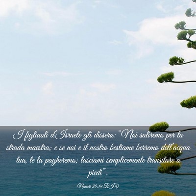 Picture 03 - Numeri 20:19 RIV - I figliuoli d’Israele gli dissero: “Noi - Bible Verse Picture