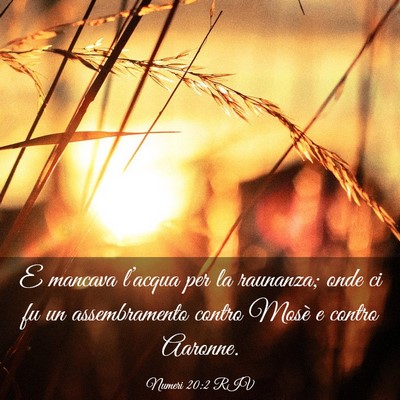 Picture 03 - Numeri 20:2 RIV - E mancava l’acqua per la raunanza; onde ci fu - Bible Verse Picture