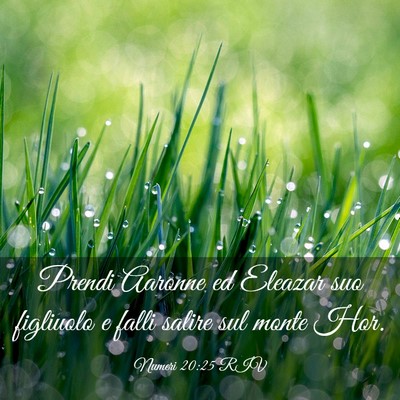 Picture 03 - Numeri 20:25 RIV - Prendi Aaronne ed Eleazar suo figliuolo e falli - Bible Verse Picture