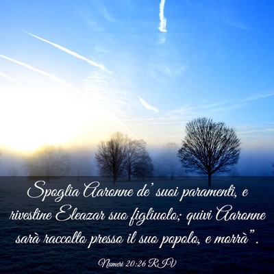 Picture 03 - Numeri 20:26 RIV - Spoglia Aaronne de’ suoi paramenti, e rivestine - Bible Verse Picture