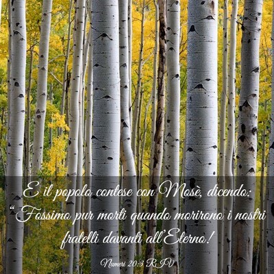 Picture 03 - Numeri 20:3 RIV - E il popolo contese con Mosè, dicendo: - Bible Verse Picture