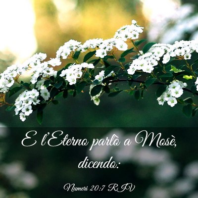 Picture 03 - Numeri 20:7 RIV - E l’Eterno parlò a Mosè, - Bible Verse Picture