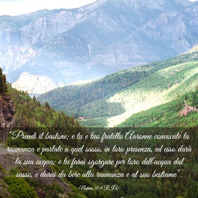Picture 03 - Numeri 20:8 RIV - “Prendi il bastone; e tu e tuo fratello Aaronne - Bible Verse Picture