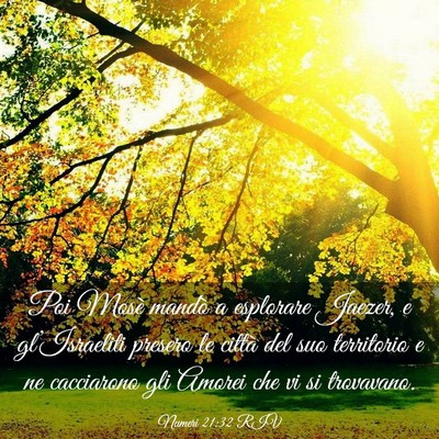 Picture 03 - Numeri 21:32 RIV - Poi Mosè mandò a esplorare Jaezer, e - Bible Verse Picture