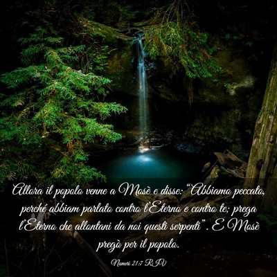 Picture 03 - Numeri 21:7 RIV - Allora il popolo venne a Mosè e disse: - Bible Verse Picture