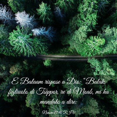 Picture 03 - Numeri 22:10 RIV - E Balaam rispose a Dio: “Balak, figliuolo di - Bible Verse Picture