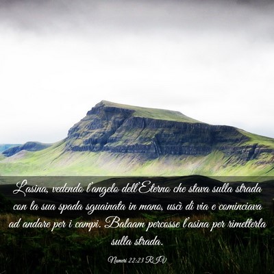 Picture 03 - Numeri 22:23 RIV - L’asina, vedendo l’angelo dell’Eterno che - Bible Verse Picture