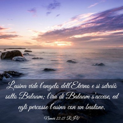 Picture 03 - Numeri 22:27 RIV - L’asina vide l’angelo dell’Eterno e si - Bible Verse Picture