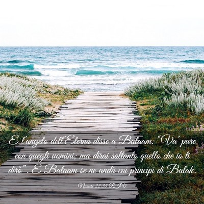 Picture 03 - Numeri 22:35 RIV - E l’angelo dell’Eterno disse a Balaam: - Bible Verse Picture