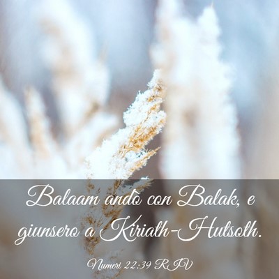 Picture 03 - Numeri 22:39 RIV - Balaam andò con Balak, e giunsero a - Bible Verse Picture