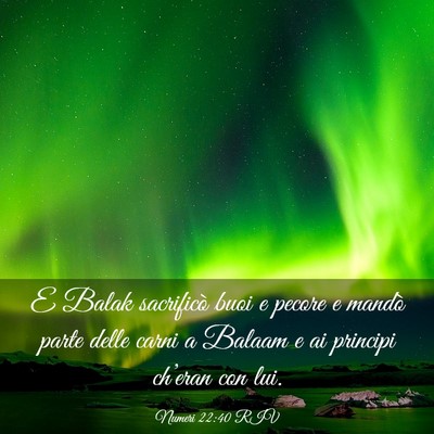 Picture 03 - Numeri 22:40 RIV - E Balak sacrificò buoi e pecore e mandò parte - Bible Verse Picture
