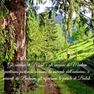 Picture 03 - Numeri 22:7 RIV - Gli anziani di Moab e gli anziani di Madian - Bible Verse Picture