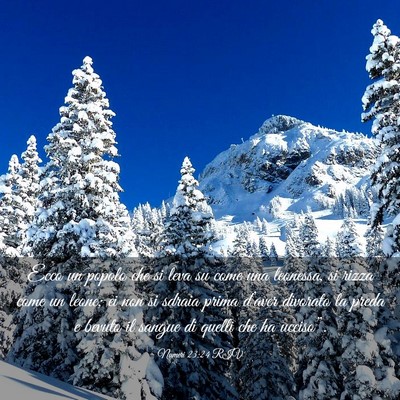 Picture 03 - Numeri 23:24 RIV - Ecco un popolo che si leva su come una leonessa, - Bible Verse Picture