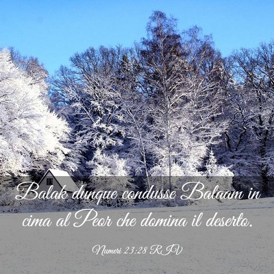 Picture 03 - Numeri 23:28 RIV - Balak dunque condusse Balaam in cima al Peor che - Bible Verse Picture