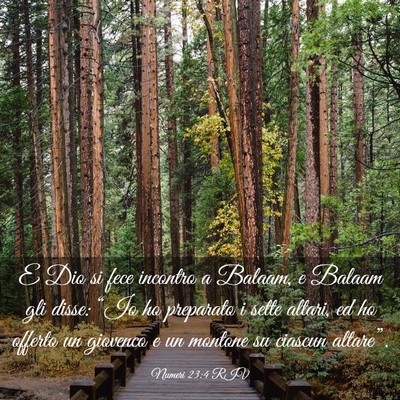 Picture 03 - Numeri 23:4 RIV - E Dio si fece incontro a Balaam, e Balaam gli - Bible Verse Picture