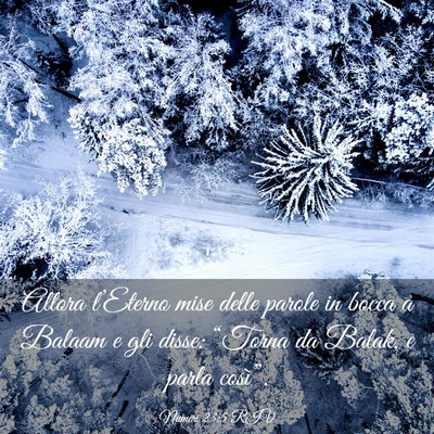 Picture 03 - Numeri 23:5 RIV - Allora l’Eterno mise delle parole in bocca a - Bible Verse Picture
