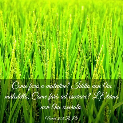 Picture 03 - Numeri 23:8 RIV - Come farò a maledire? Iddio non l’ha - Bible Verse Picture