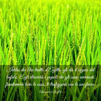 Picture 03 - Numeri 24:8 RIV - Iddio che l’ha tratto d’Egitto, gli dà il - Bible Verse Picture
