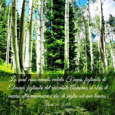 Picture 03 - Numeri 25:7 RIV - La qual cosa avendo veduta Fineas, figliuolo di - Bible Verse Picture