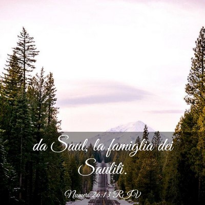 Picture 03 - Numeri 26:13 RIV - da Saul, la famiglia dei - Bible Verse Picture