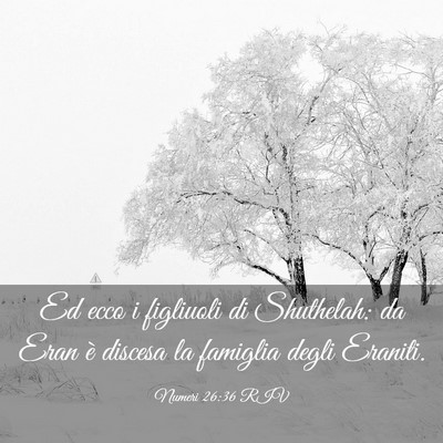 Picture 03 - Numeri 26:36 RIV - Ed ecco i figliuoli di Shuthelah: da Eran è - Bible Verse Picture