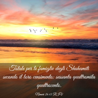 Picture 03 - Numeri 26:43 RIV - Totale per le famiglie degli Shuhamiti secondo il - Bible Verse Picture