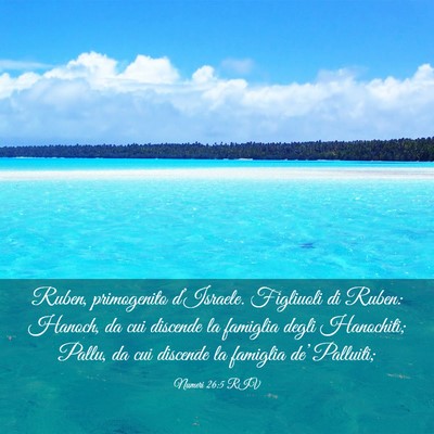 Picture 03 - Numeri 26:5 RIV - Ruben, primogenito d’Israele. Figliuoli di - Bible Verse Picture