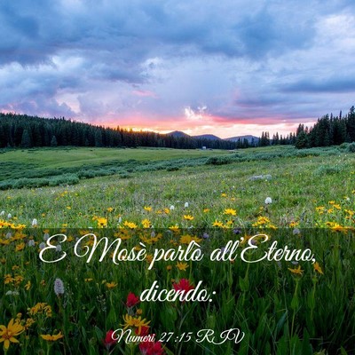 Picture 03 - Numeri 27:15 RIV - E Mosè parlò all’Eterno, - Bible Verse Picture