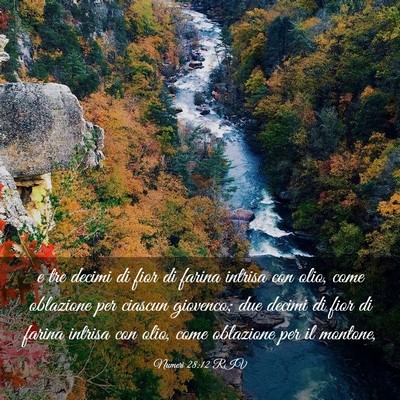 Picture 03 - Numeri 28:12 RIV - e tre decimi di fior di farina intrisa con olio, - Bible Verse Picture