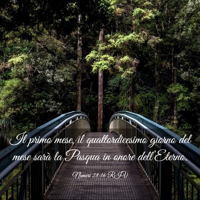 Picture 03 - Numeri 28:16 RIV - Il primo mese, il quattordicesimo giorno del mese - Bible Verse Picture