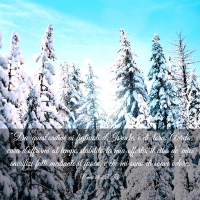 Picture 03 - Numeri 28:2 RIV - “Da’ quest’ordine ai figliuoli d’Israele, - Bible Verse Picture