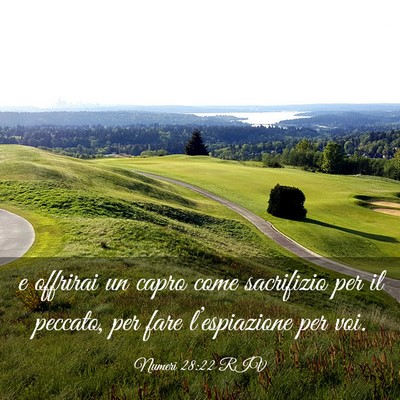 Picture 03 - Numeri 28:22 RIV - e offrirai un capro come sacrifizio per il - Bible Verse Picture