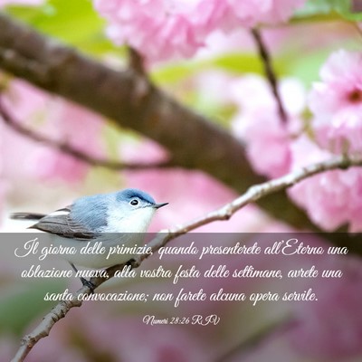 Picture 03 - Numeri 28:26 RIV - Il giorno delle primizie, quando presenterete - Bible Verse Picture