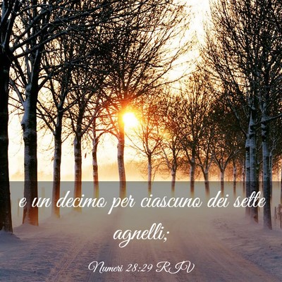 Picture 03 - Numeri 28:29 RIV - e un decimo per ciascuno dei sette - Bible Verse Picture