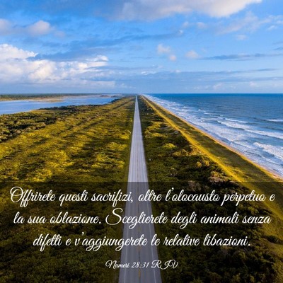 Picture 03 - Numeri 28:31 RIV - Offrirete questi sacrifizi, oltre l’olocausto - Bible Verse Picture