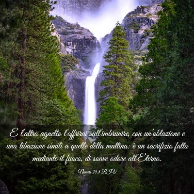 Picture 03 - Numeri 28:8 RIV - E l’altro agnello l’offrirai - Bible Verse Picture