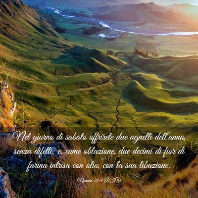 Picture 03 - Numeri 28:9 RIV - Nel giorno di sabato offrirete due agnelli - Bible Verse Picture