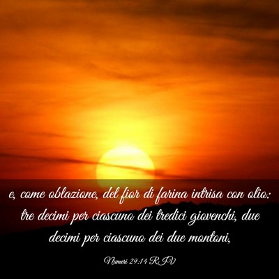 Picture 03 - Numeri 29:14 RIV - e, come oblazione, del fior di farina intrisa con - Bible Verse Picture