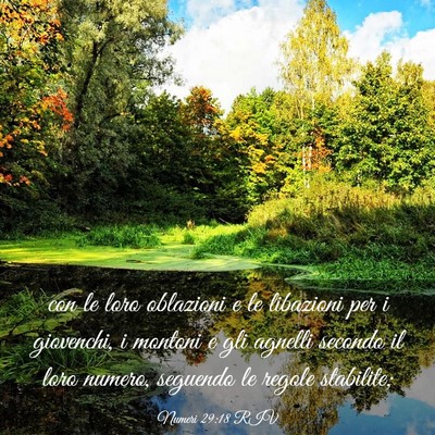 Picture 03 - Numeri 29:18 RIV - con le loro oblazioni e le libazioni per i - Bible Verse Picture