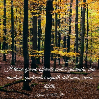 Picture 03 - Numeri 29:20 RIV - Il terzo giorno offrirete undici giovenchi, due - Bible Verse Picture