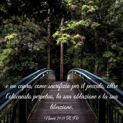 Picture 03 - Numeri 29:31 RIV - e un capro, come sacrifizio per il peccato, oltre - Bible Verse Picture