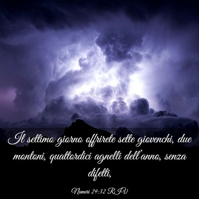 Picture 03 - Numeri 29:32 RIV - Il settimo giorno offrirete sette giovenchi, due - Bible Verse Picture