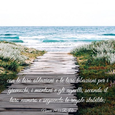 Picture 03 - Numeri 29:33 RIV - con le loro oblazioni e le loro libazioni per i - Bible Verse Picture