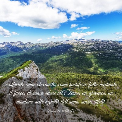 Picture 03 - Numeri 29:36 RIV - e offrirete come olocausto, come sacrifizio fatto - Bible Verse Picture
