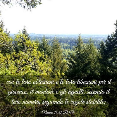 Picture 03 - Numeri 29:37 RIV - con le loro oblazioni e le loro libazioni per il - Bible Verse Picture