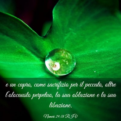 Picture 03 - Numeri 29:38 RIV - e un capro, come sacrifizio per il peccato, oltre - Bible Verse Picture