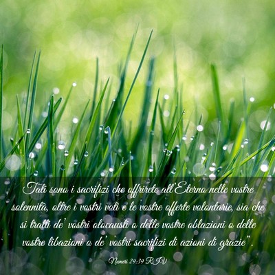 Picture 03 - Numeri 29:39 RIV - Tali sono i sacrifizi che offrirete all’Eterno - Bible Verse Picture