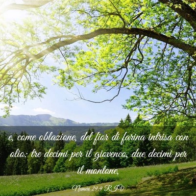 Picture 03 - Numeri 29:9 RIV - e, come oblazione, del fior di farina intrisa con - Bible Verse Picture